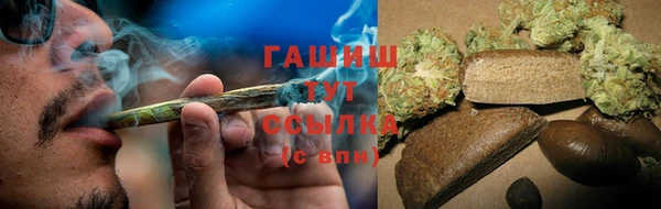 хмурый Аркадак