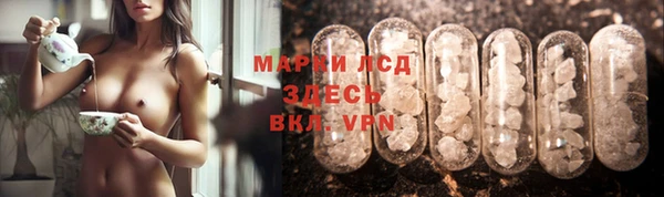 сатива Баксан