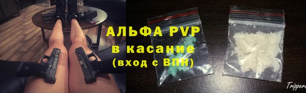 сатива Баксан