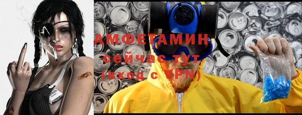 сатива Баксан