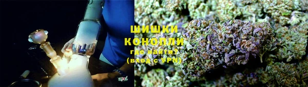 сатива Баксан