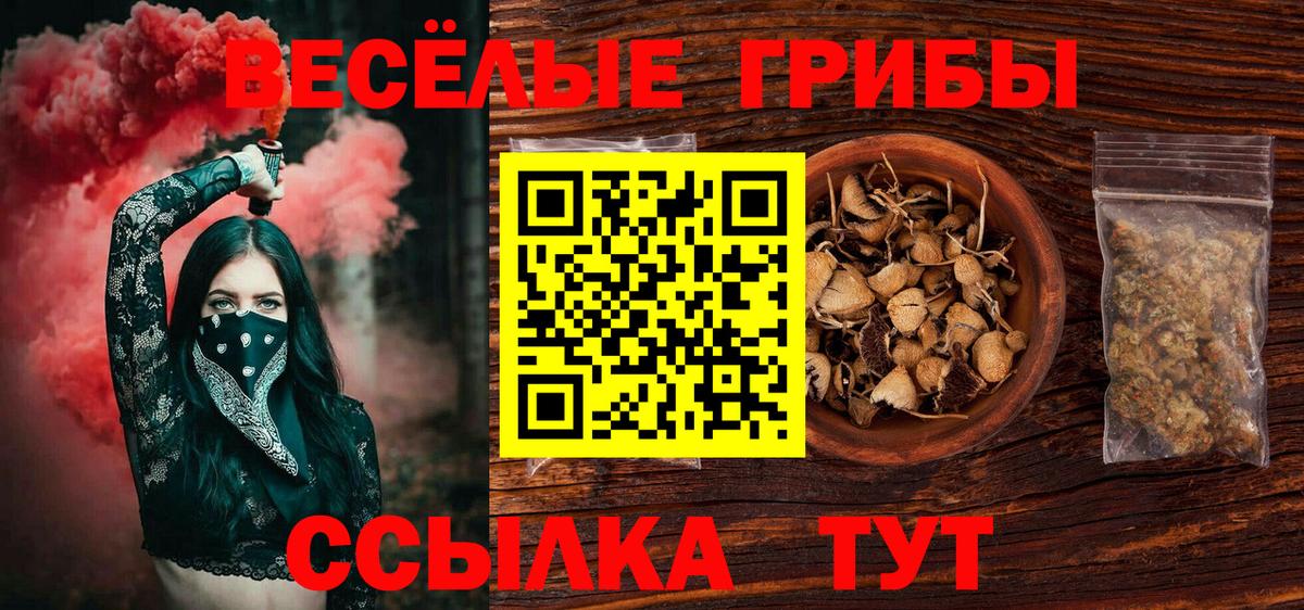 Галлюциногенные грибы Psilocybe Унеча
